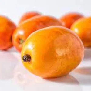 Hog Plum Live Plant - Spondias pinnata Tropical Fruit Tree - 1 Gallon Pot - Image 2