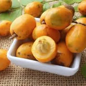 Hog Plum Live Plant - Spondias pinnata Tropical Fruit Tree - 1 Gallon Pot - Image 3