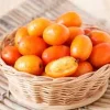 Hog Plum Live Plant - Spondias pinnata Tropical Fruit Tree - 1 Gallon Pot - Image 1