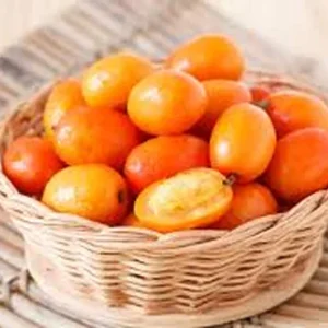 Hog Plum Live Plant - Spondias pinnata Tropical Fruit Tree - 1 Gallon Pot - Image 1