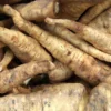 Horseradish Root - 3 oz Cut - Bare Root for Growing - Image 1