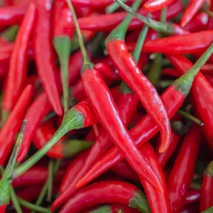 Hot Cayenne Pepper Vegetable Seeds - Heirloom, Non-GMO - Image 3