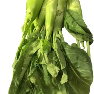 Huge Stem Gai Lan Seeds - Chinese Broccoli Seeds, Heirloom, Non-GMO for Asian Cuisine - Image 2