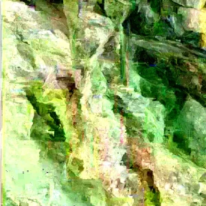 Jackfruit Seedling Plant 6-12 inches - Artocarpus Heterophyllus Tropical Fruit Tree - Organic Outdoor - Image 1