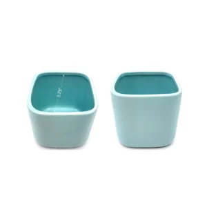 Jade Plant (Crassula ovata) Live Plant – 4 inch Pot with Light Blue Ceramic Planter - Image 2