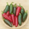 Jalapeno M Hot Pepper Seeds - Organic, Non-GMO - 50+ or 100+ Seed Pack - Image 1