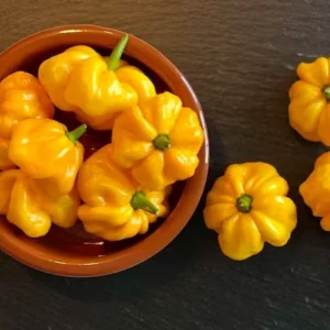 Jamaican Yellow Scotch Bonnet Mushroom Pepper Seeds - 25 Hot Organic Heirloom Seeds - Image 1