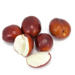 Jujube Li Tree - 3 Feet Tall Grafted Live Fruit Tree - Ships in 3 Gallon Pot - Image 1