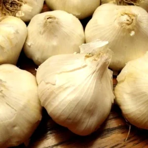 Jumbo Organic Softneck Garlic Bulbs - 3 Count for Planting, Easy to Grow - Image 6