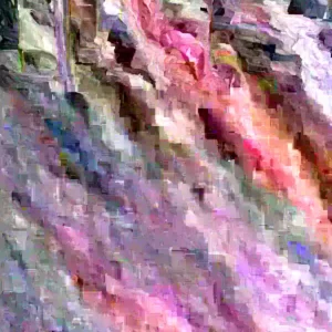 Kaffir Lime Tree Grafted Live Plant - Almost 4ft Tall - Outdoor Citrus - Image 3