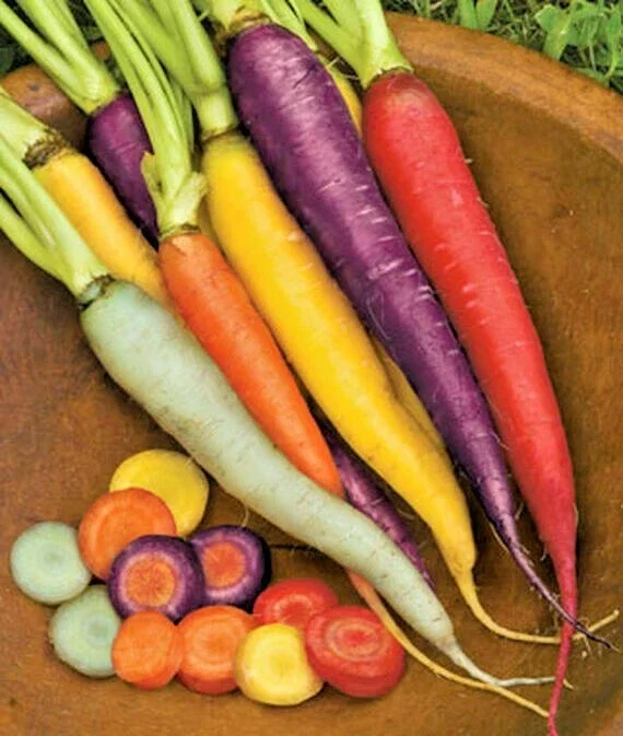 Kaleidoscope Blend Carrot Seeds - Non-GMO Vegetable Seeds for Gardeners - Image 1