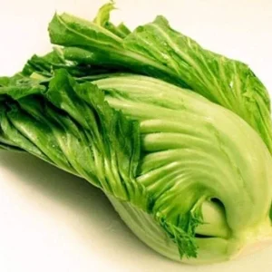 Kekkyu Takana Oriental Mustard Seeds - 500+ Organic Non-GMO Brassica Juncea Seeds for Garden - Image 1