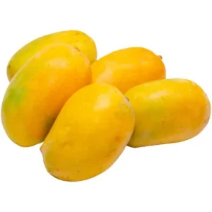 Kesar Mango Tree Live Plant - 1 Gallon Pot - Sweet, Aromatic Fruit for Home Garden - Image 3