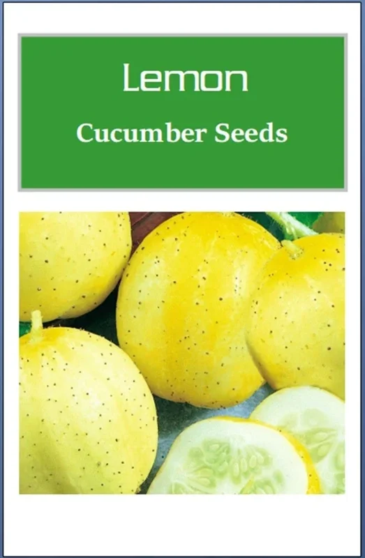 Lemon Cucumber Seeds – Non-GMO Heirloom Vegetable Seeds – Easy Grow Outdoor - Image 2