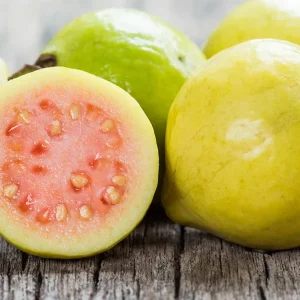 Lemon Guava Live Plant - Tropical Fruit Tree in Half Gallon Pot - Image 1