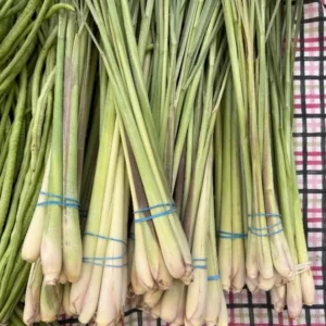 Lemongrass Live Starter Plants - Cymbopogon citratus - Fragrant Culinary Herb - Image 1