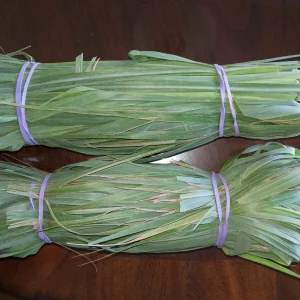 Lemongrass Seeds Cymbopogon Flexuosus - Organic Herb Seeds - 150+ Seeds - Image 2