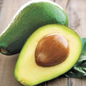 Little Cado Avocado Tree - Grafted Live Fruit Plant 3 Gallon Pot - Indoor/Outdoor - Image 2