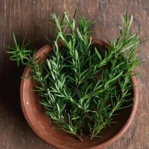 Live Rosemary Plant - 10-inch Tall Culinary Herb in 4-inch Pot - Indoor/Outdoor - Image 6