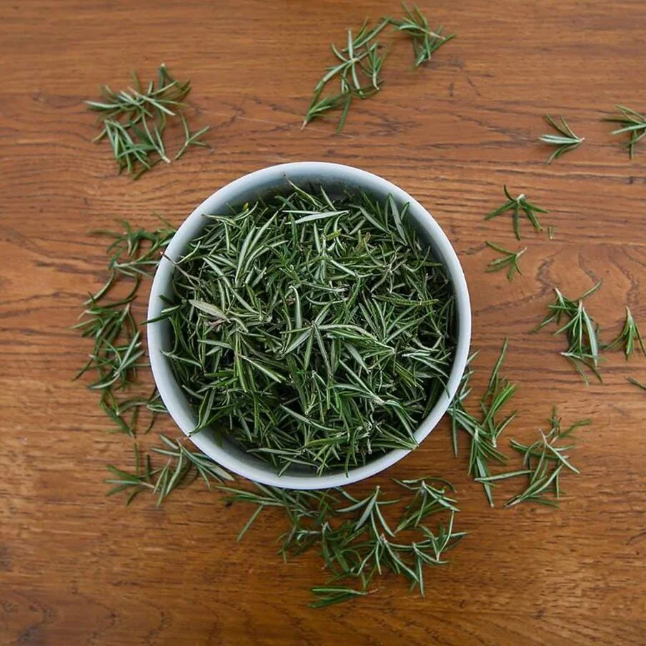 Live Rosemary Plant - 10-inch Tall Culinary Herb in 4-inch Pot - Indoor/Outdoor - Image 7