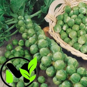 Long Island Brussels Sprouts Seeds - Non-GMO Heirloom Vegetable Seeds - Image 1