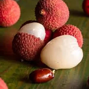 Lychee Sweet Heart Live Plant - Half Gallon Pot - Tropical Fruit Tree - Image 1