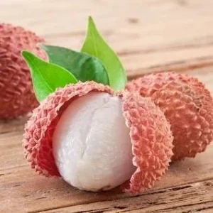 Lychee Tree Live Plant - 1 to 2 Feet Tall - Airlayered - Fruit Bearing - Image 1