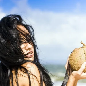 Malayan Dwarf Coconut Palm Live Plant – Cocos nucifera – 6 inch Pot – Tropical Indoor/Outdoor - Image 6