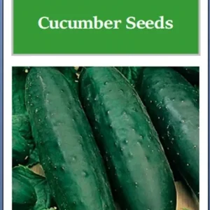 Marketmore 76 Cucumber Seeds - Non-GMO Heirloom Vegetable Seeds for Outdoor - Image 2