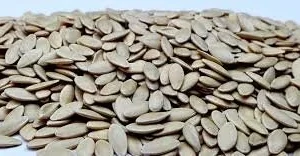 Marketmore 76 Cucumber Seeds - Non-GMO Heirloom Vegetable Seeds - Image 4