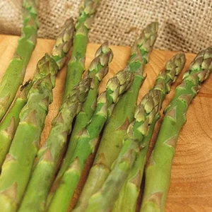 Mary Washington Asparagus Seeds - Heirloom Vegetable for Garden - Image 3