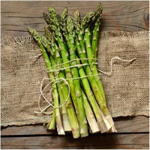Mary Washington Asparagus Seeds - Heirloom Vegetable for Garden - Image 1