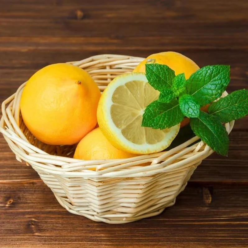 Meyer Lemon Live Plant - Fragrant Citrus Bush Starter Plant, 2-3 Inch Tall - Image 4