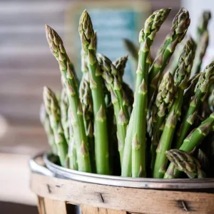 Millennium Asparagus Crowns – 10 Bare Root Plants – 2 Year Olds – Hardy Garden Vegetable - Image 1