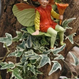 Mini English Ivy Live Plant – Variegated – 2.5 inch Pot – Indoor Houseplant - Image 2