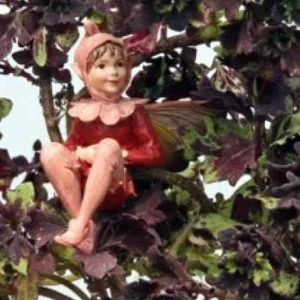 Mini Red Leaf Coleus Live Plant – Potted Houseplant – 2.5