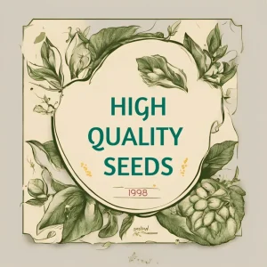 Mother of Thousands Kalanchoe Daigremontiana Seeds - Succulent - 25 Seeds - Image 10