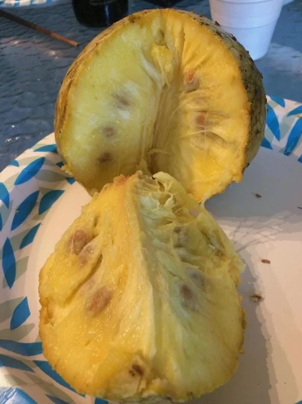 Mountain Soursop Live Plant - Annona muricata - Tropical Fruit Tree - 6-10 Inches Tall - Image 6