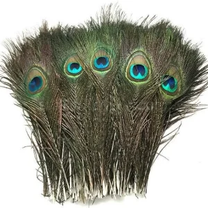 Natural Peacock Feathers 12-15 Inch Lengths - Craft & Decor Supply - Image 4