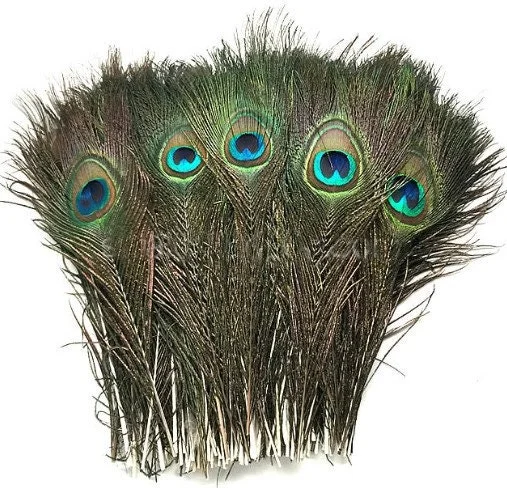 Natural Peacock Feathers 12-15 Inch Lengths - Craft & Decor Supply - Image 4
