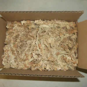 New Zealand Long Fibered Sphagnum Moss - 4.5 oz for Carnivorous Plants & Orchids - Image 1
