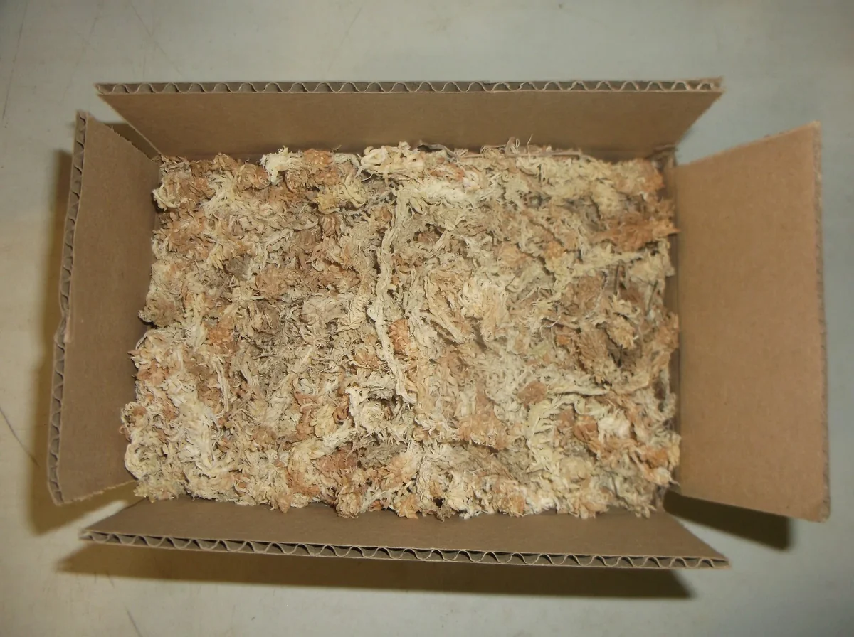 New Zealand Long Fibered Sphagnum Moss - 4.5 oz for Carnivorous Plants & Orchids - Image 1