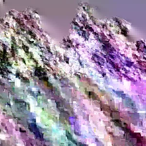 Northern Catalpa Tree Seeds - 100+ Seed Pack - Outdoor Flowering Tree Seeds - Image 1