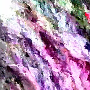 Old Fashion Purple Lilac Bush - Live Bare Root Plant 16-24 Inches Tall - Outdoor Shrub - Image 3