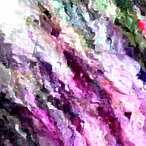 Old Fashion Purple Lilac Bush - Live Bare Root Plant 16-24 Inches Tall - Outdoor Shrub - Image 5