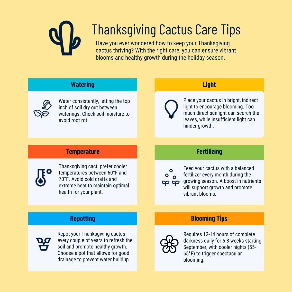 Orange Thanksgiving Cactus Live Plant - 6 inch Pot, Zygocactus - Image 9