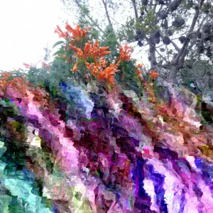 Orange Trumpet Vine Cuttings – Set of 12 – 6-10 Inches – Outdoor Perennial Vine - Image 2