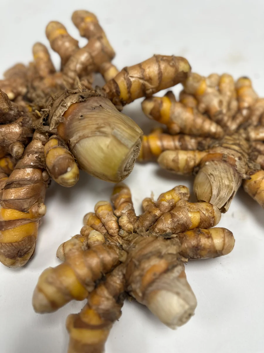 Orange Turmeric Rhizomes for Planting - Fresh Organic Seed Rhizomes - Image 3