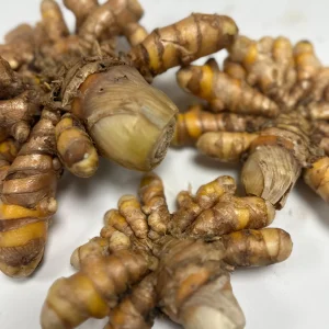 Orange Turmeric Rhizomes - Fresh Organic for Planting & Growing - Image 3