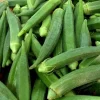 Organic Clemson Spineless 80 Okra Seeds - Heirloom Vegetable, 100+ Seeds - Image 1